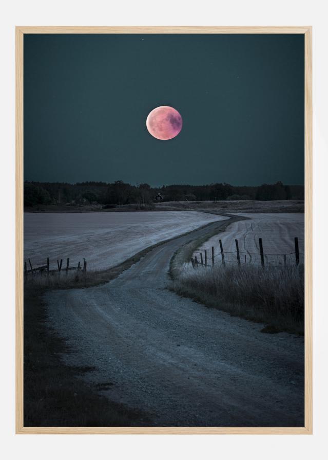 Bloodmoon 2018 Įrašai