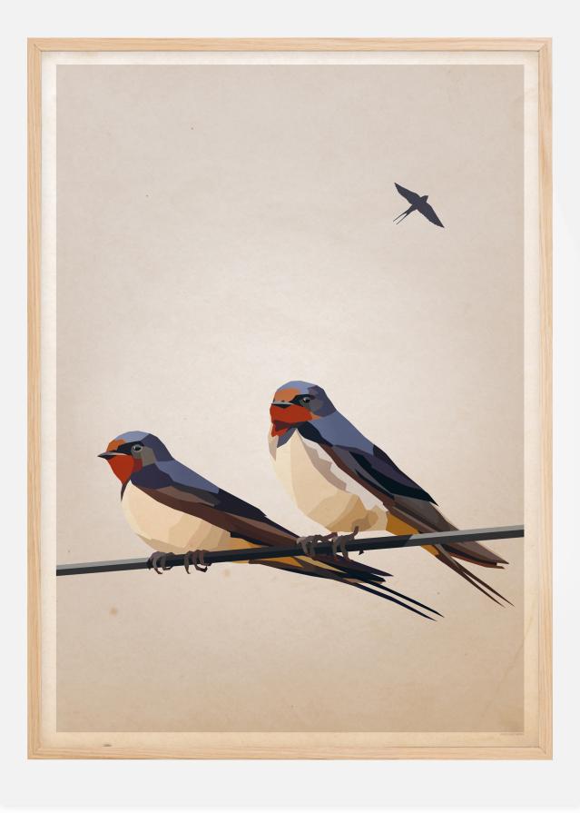 Swallows Įrašai