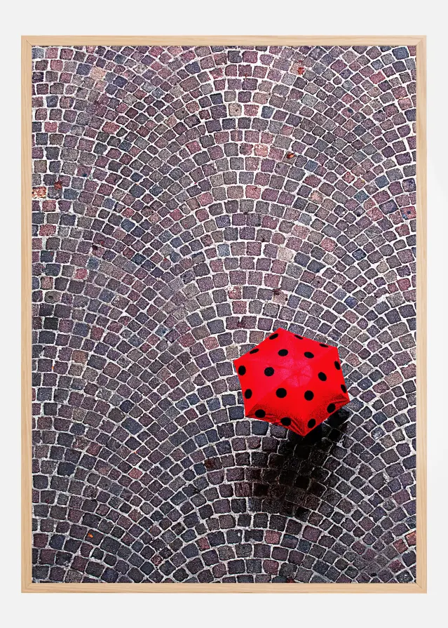 Urban Ladybug Įrašai