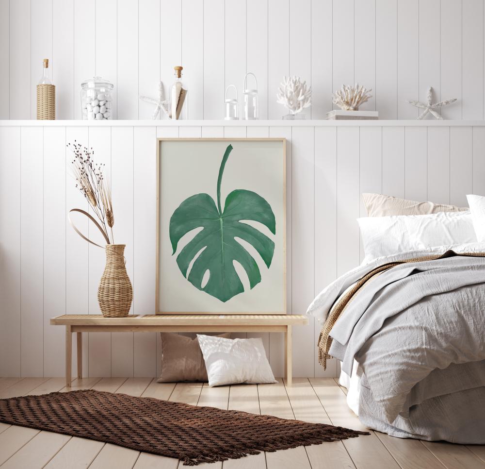 Monstera Aqua Įrašai