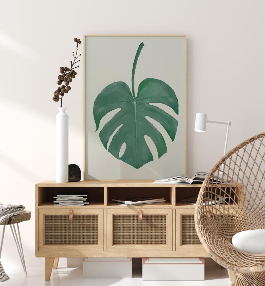 Monstera Aqua Įrašai