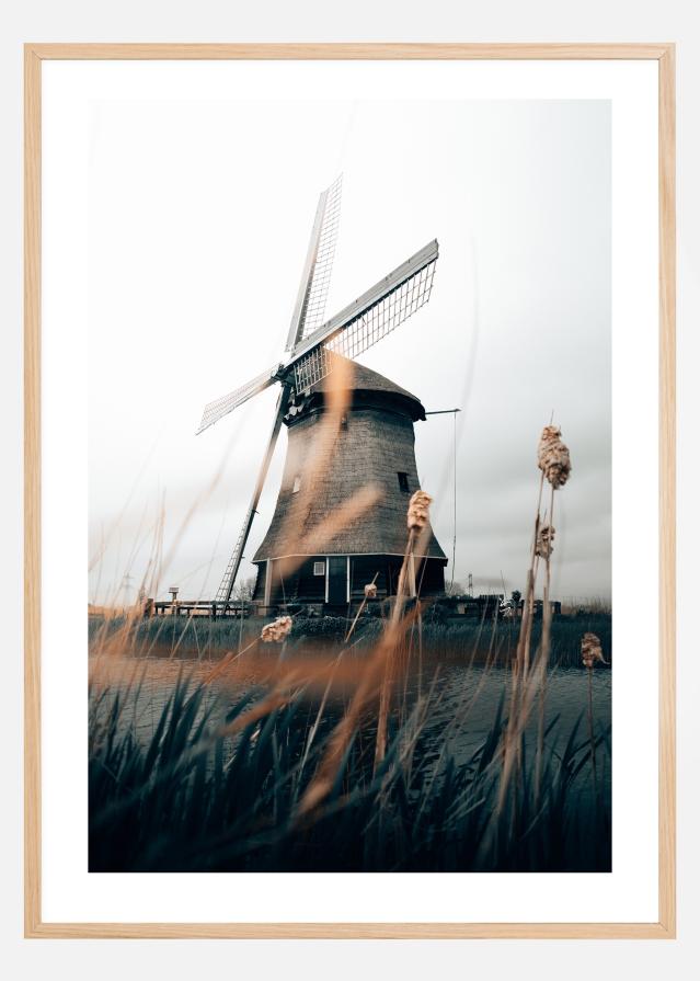 Dutch Windmill Įrašai