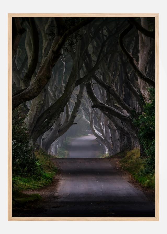 The Dark Hedges Magic road Įrašai