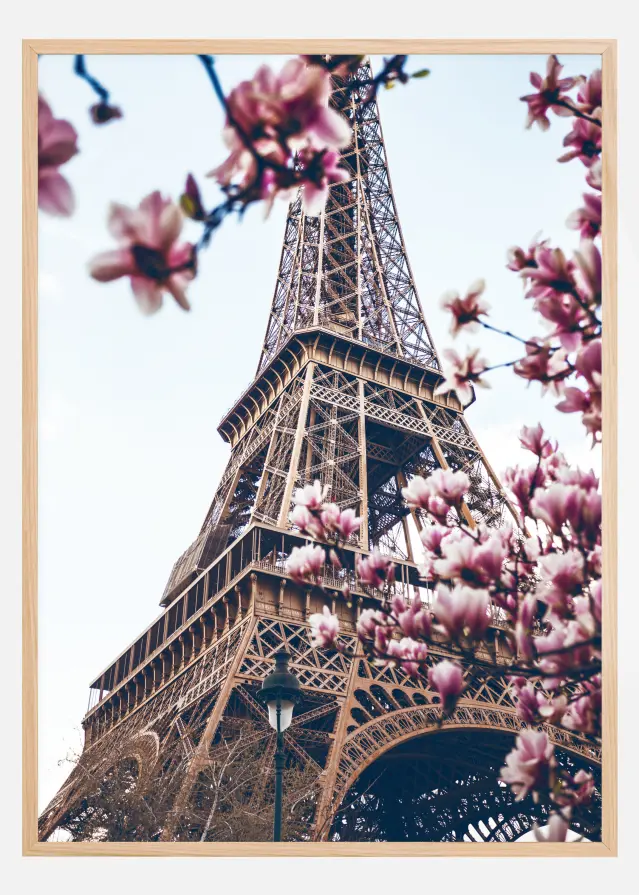 Eiffel Tower Blossoms Įrašai