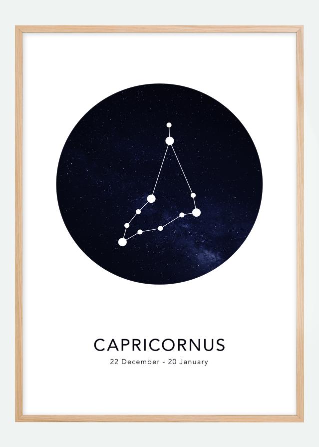 Capricornus Įrašai