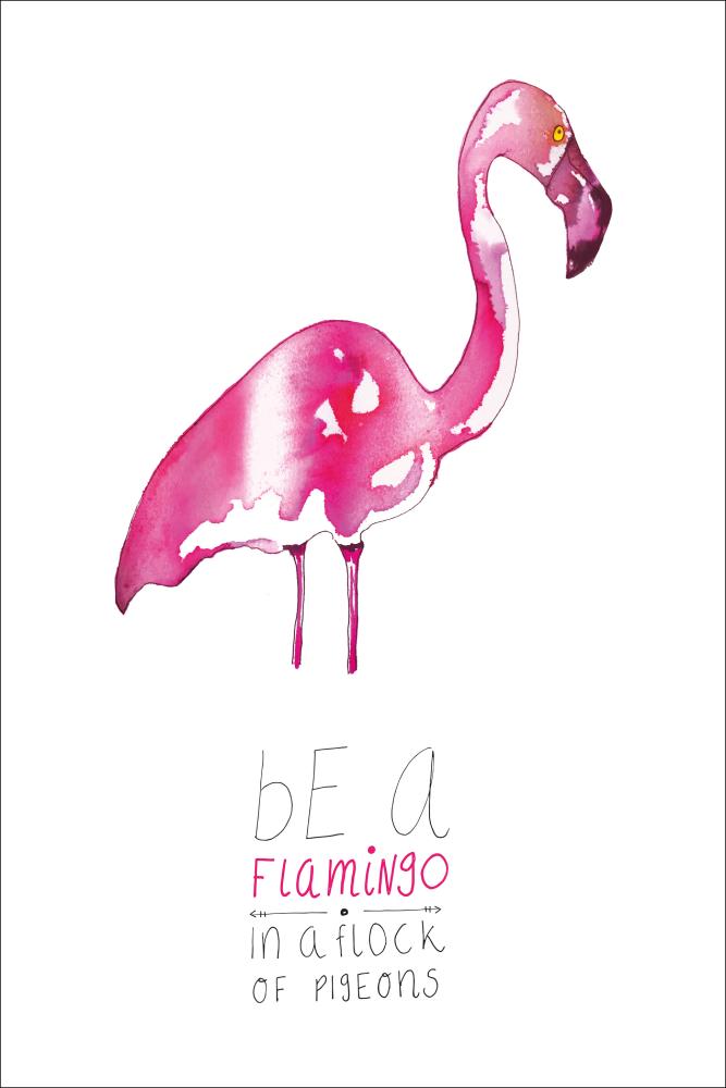 Be a flamingo Įrašai