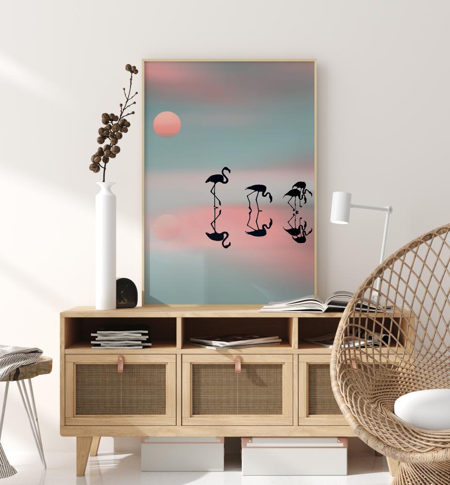 Family Flamingos Įrašai