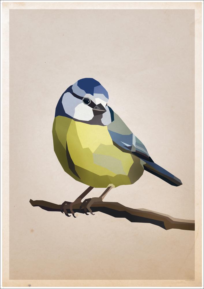 Blue tit Įrašai