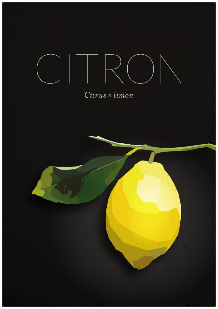 Citron Įrašai