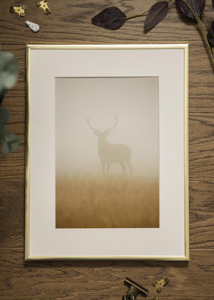 Rėmas Įrašai Frame Aluminum Akrilo stiklas Gold 70x100 cm