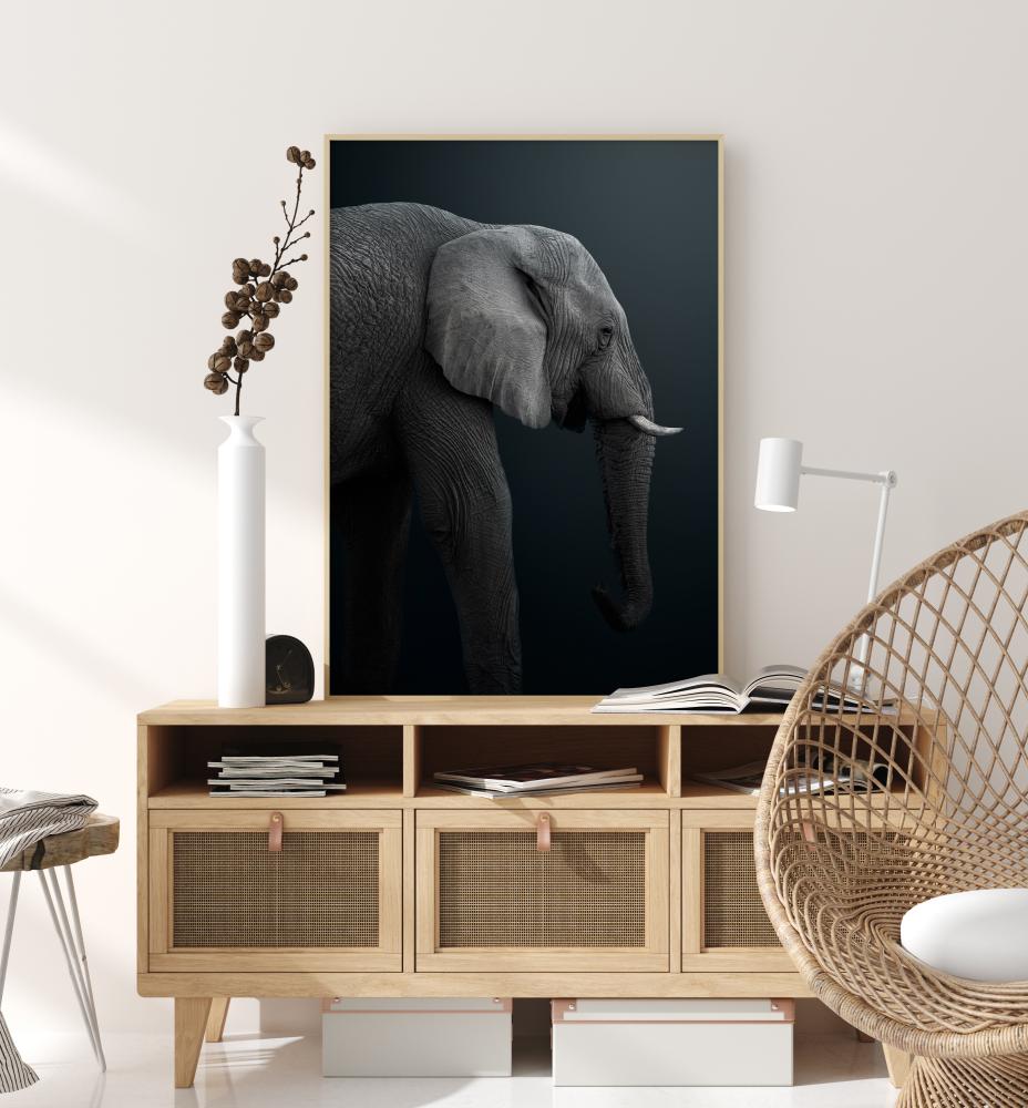 Namibian Elephant Įrašai