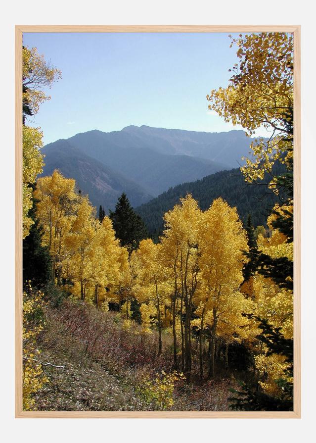 Yellow Trees Įrašai