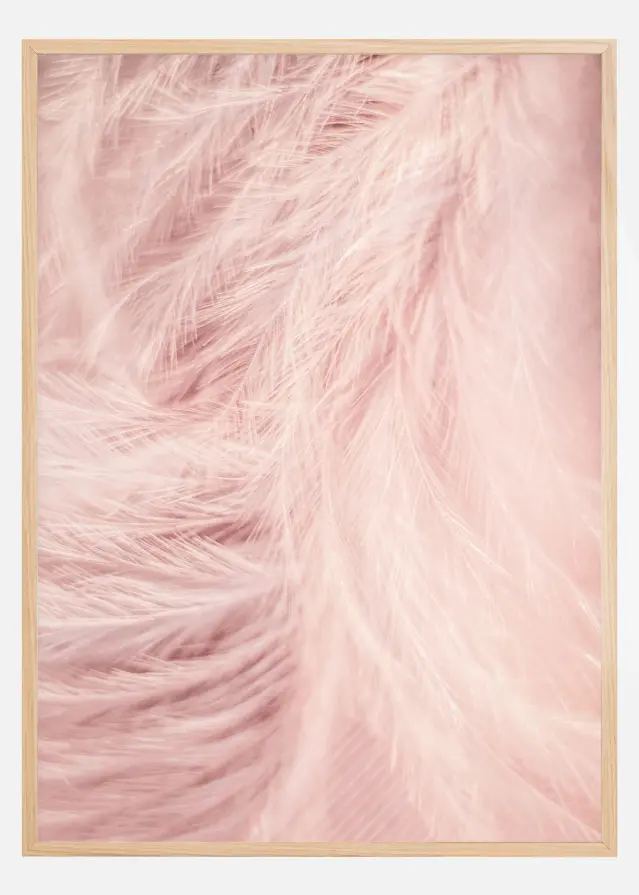 Pink Feathers Įrašai