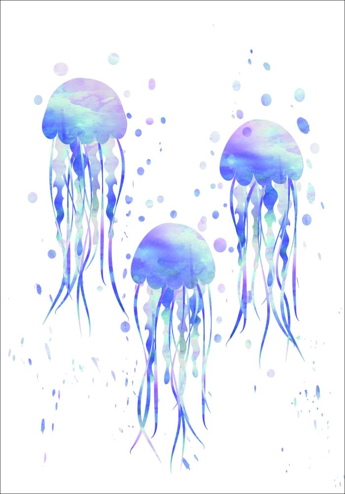 Jellyfishes Įrašai