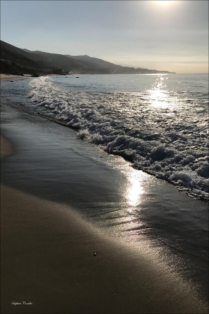 Malibu Beach View Įrašai