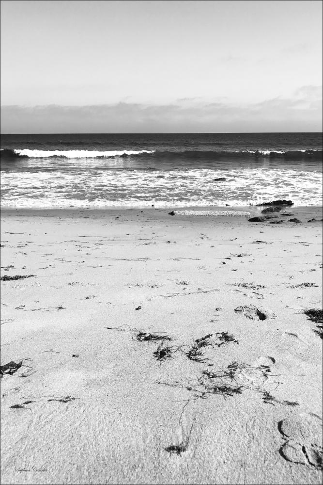 Malibu Beach sand Įrašai