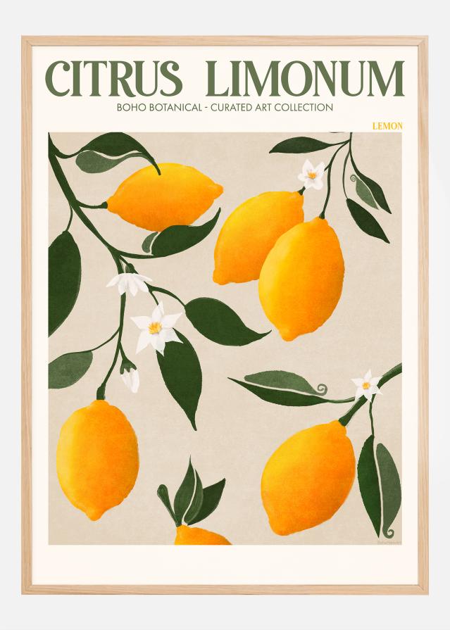 Boho Citrus Limonum Įrašai