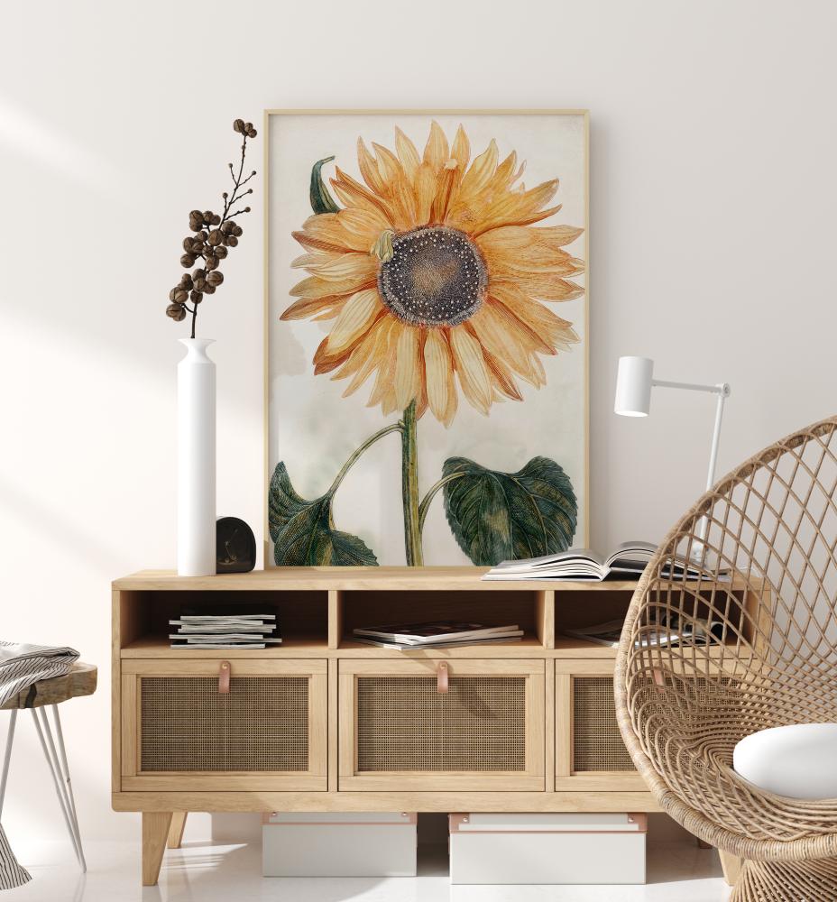 Sunflower Art Įrašai