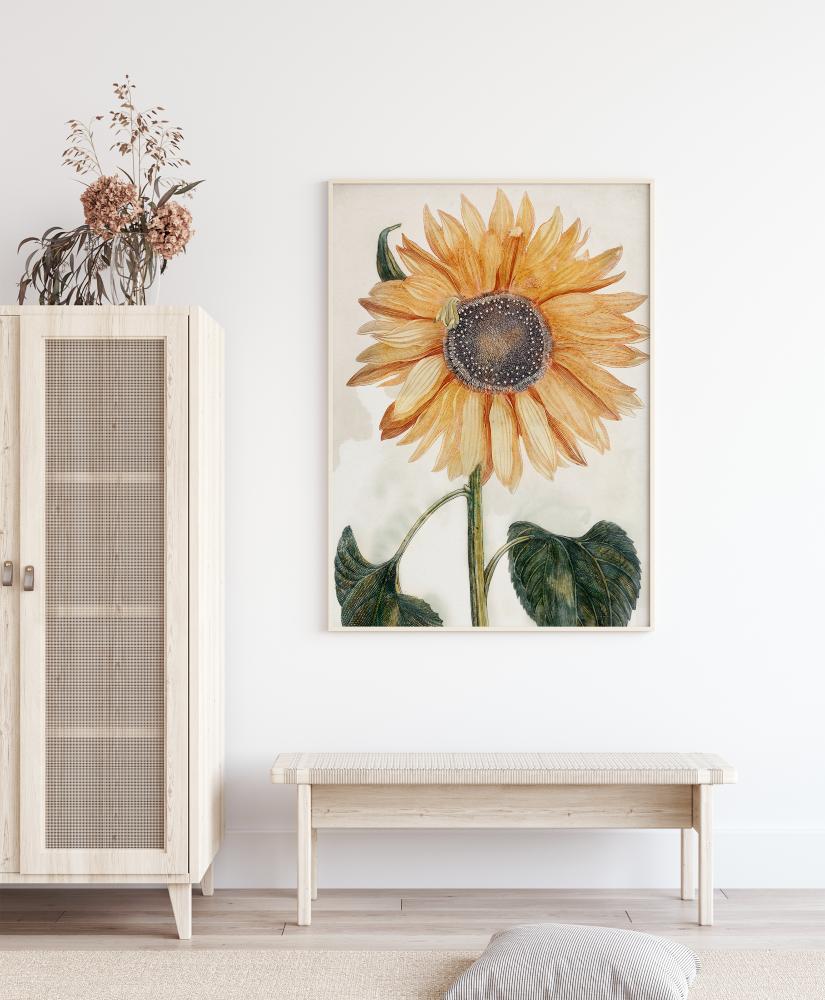 Sunflower Art Įrašai