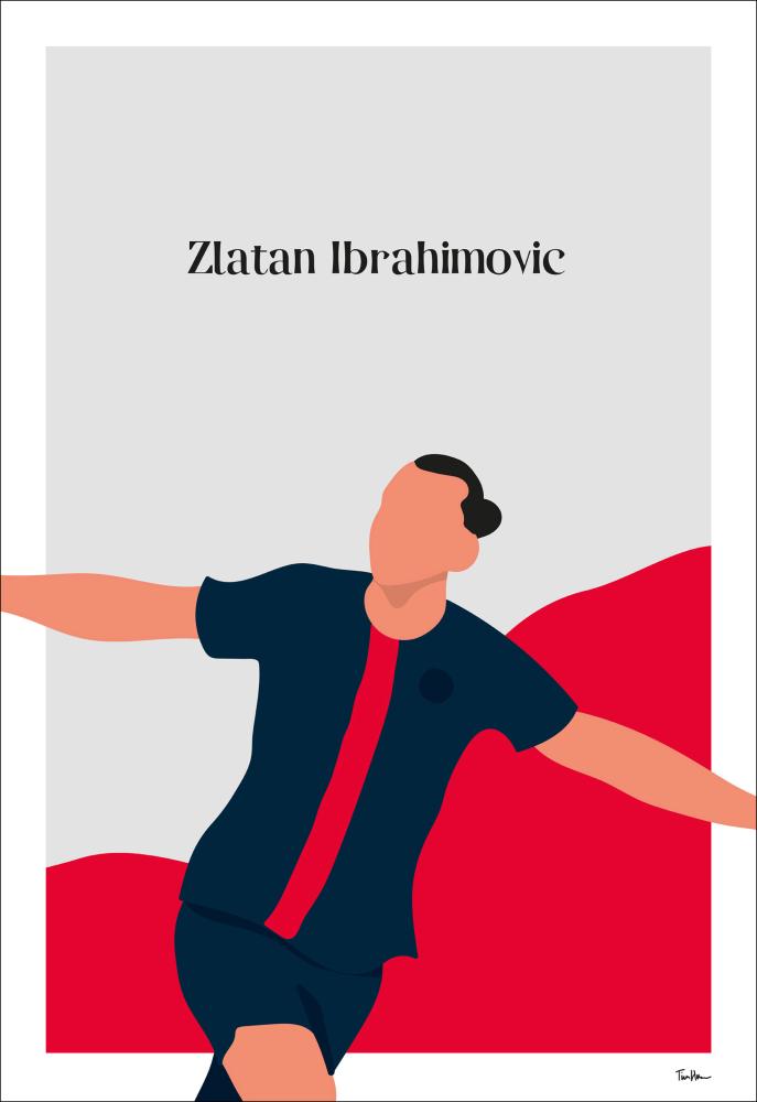 Zlatan Ibrahimovic Įrašai