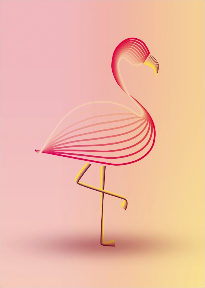 flamingo Įrašai