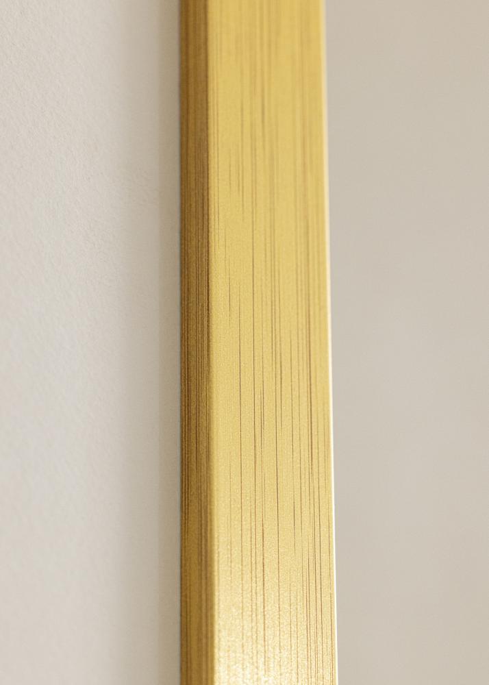 Rėmas Gold Wood Akrilo stiklas 60x100 cm