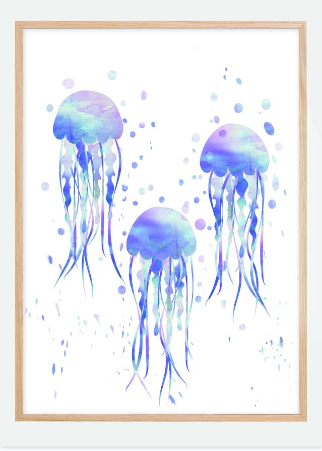 Jellyfishes Įrašai