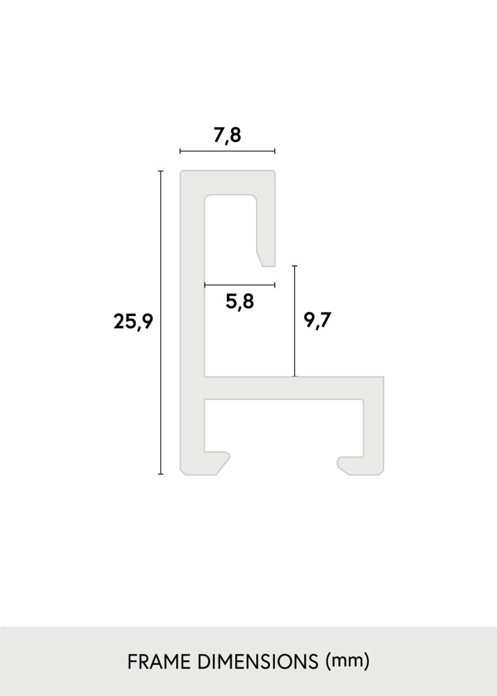 Rėmas Nielsen Premium Alpha Blizgus sidabrinis 84,1x118,9 cm (A0)