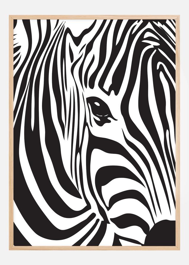 Zebra Įrašai