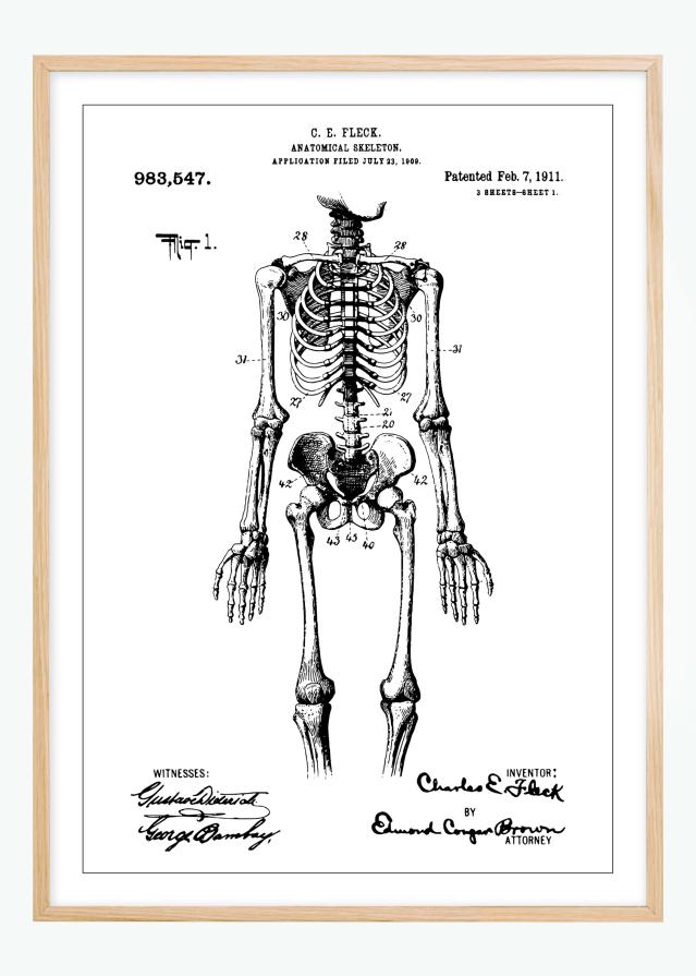 Patentinis brėžinys - Anatominis Skeletas viduje Įrašai