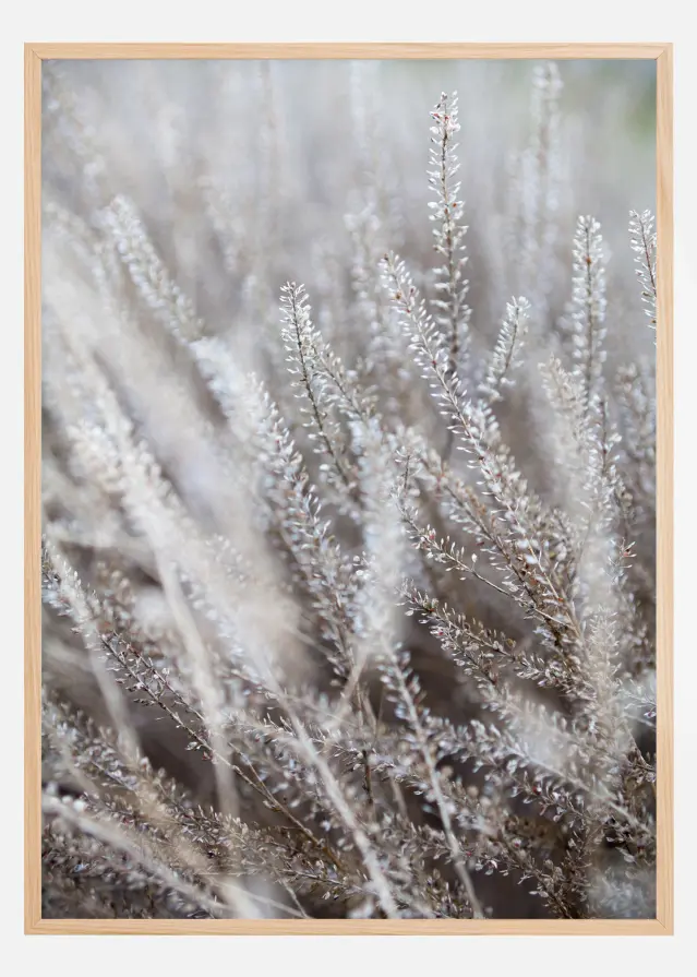 Frosty Grass Įrašai