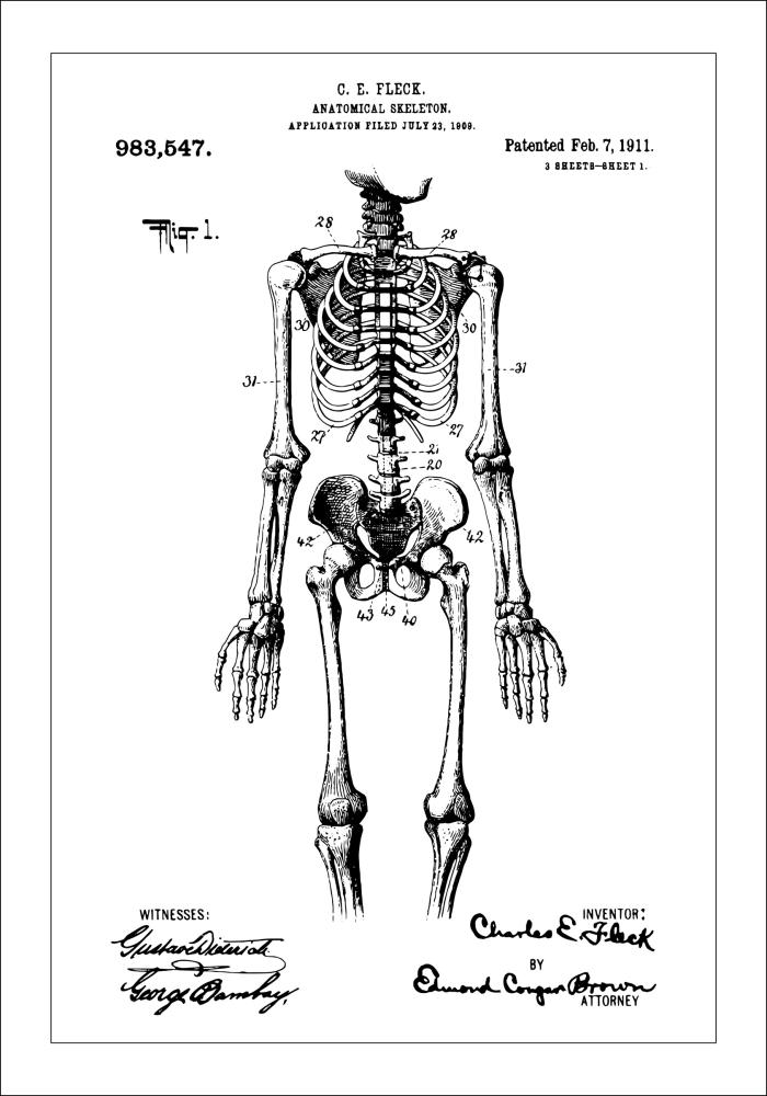 Patentinis brėžinys - Anatominis Skeletas viduje Įrašai