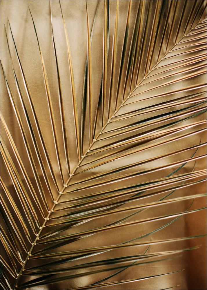 Golden Palm Įrašai