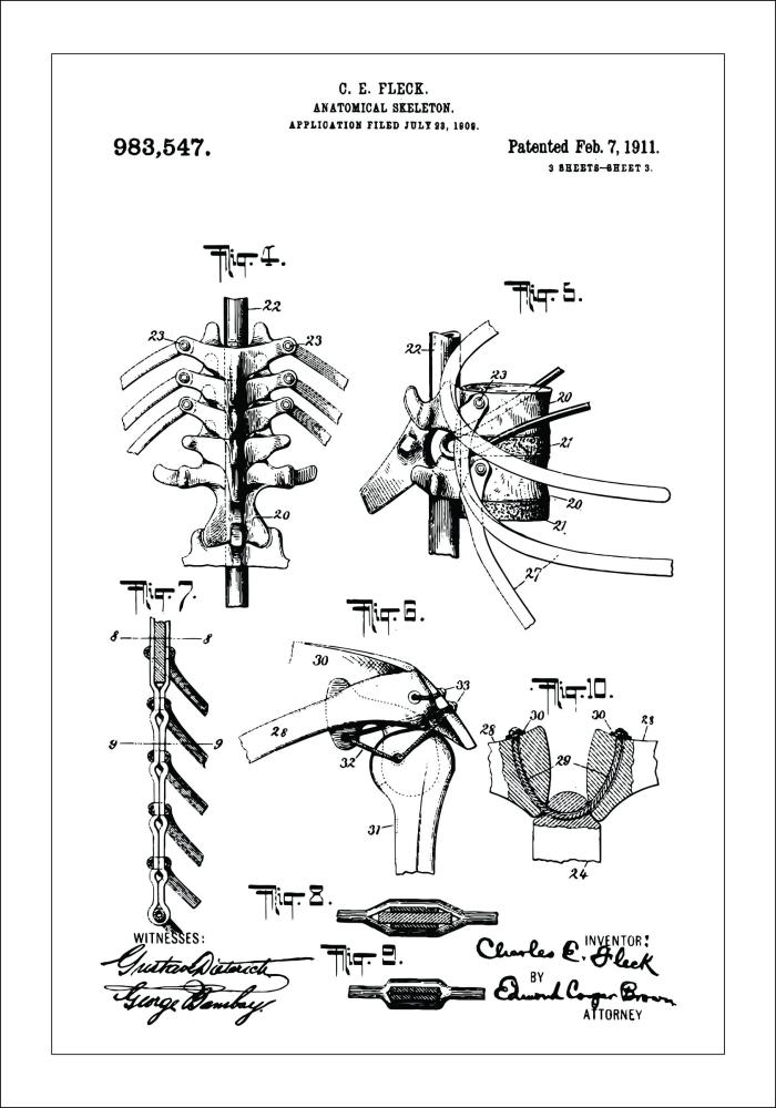 Patentinis brėžinys - Anatominis Skeletas III Įrašai