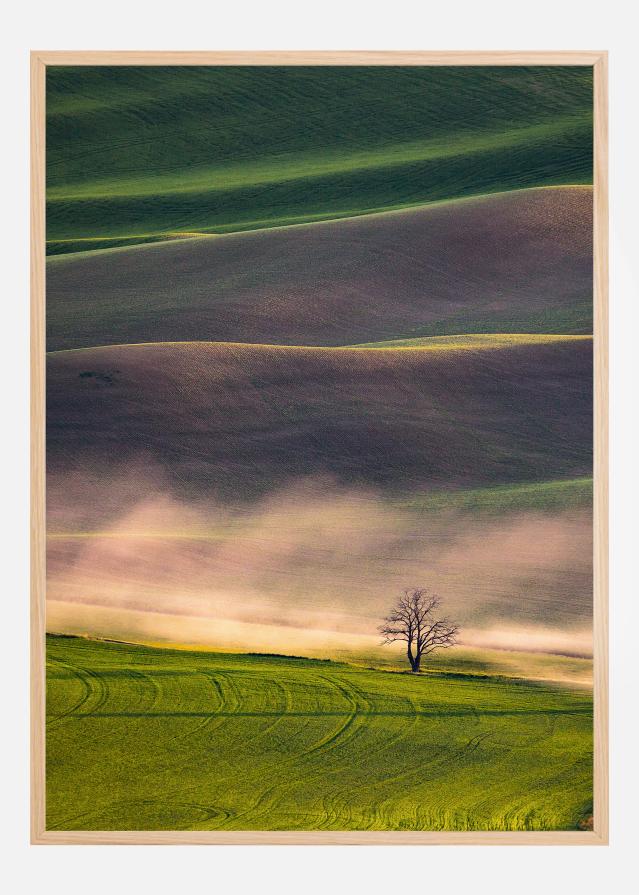 Sunset in Palouse Įrašai