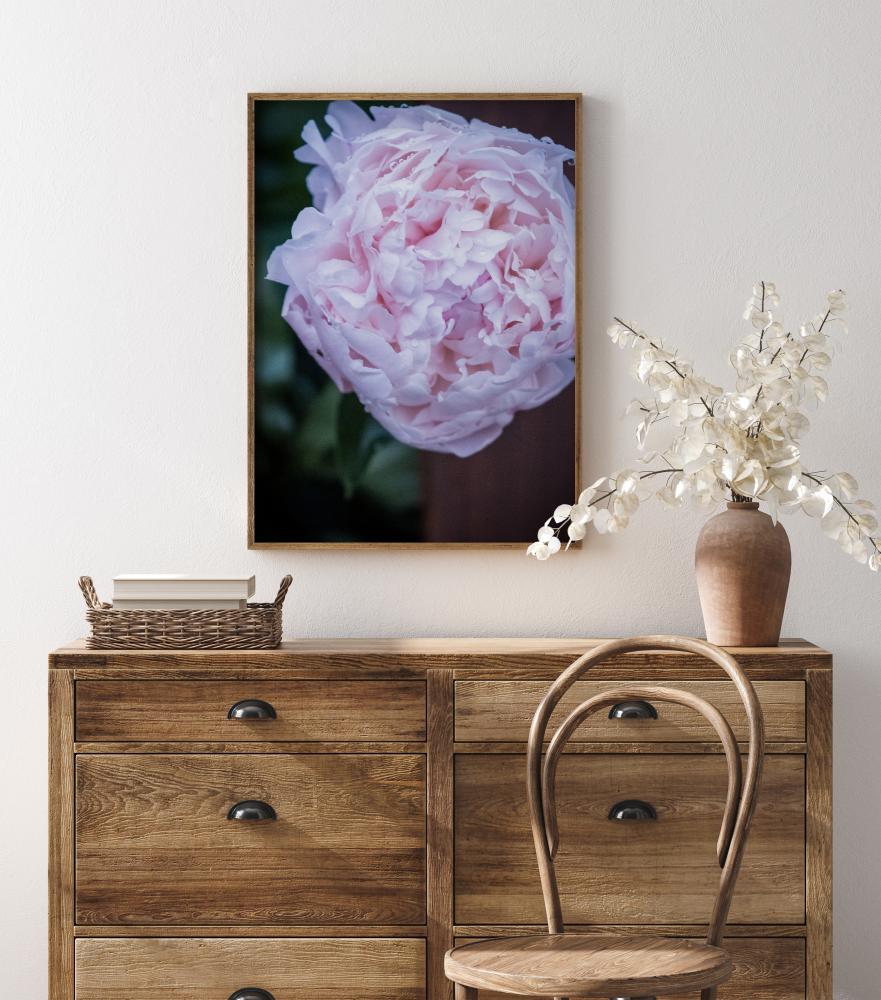 Peony I Įrašai